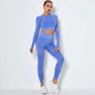 Seamless High-Stretch Yoga Set with Long Sleeve Top
